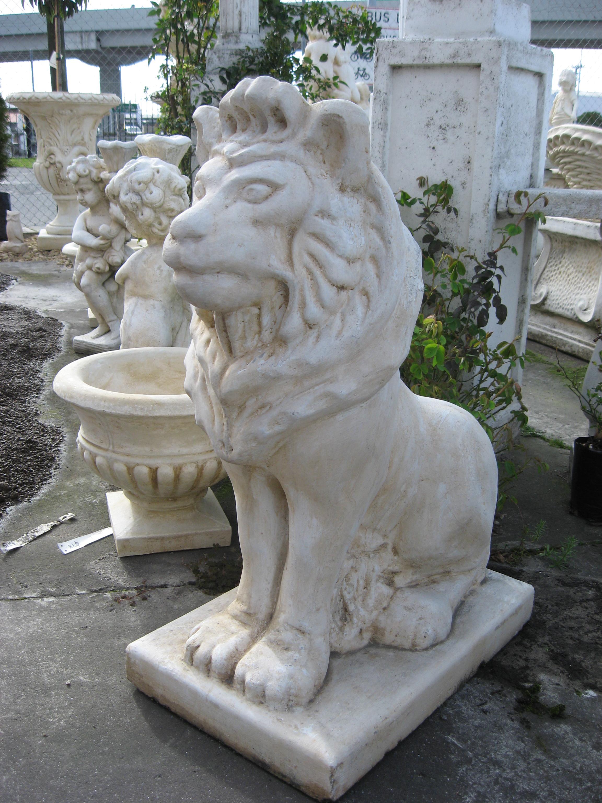 Sitting Lion