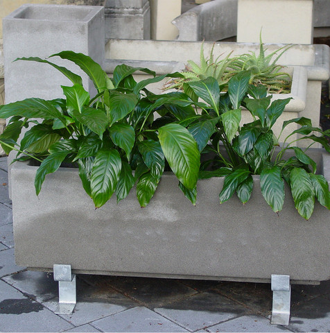 Planter Long