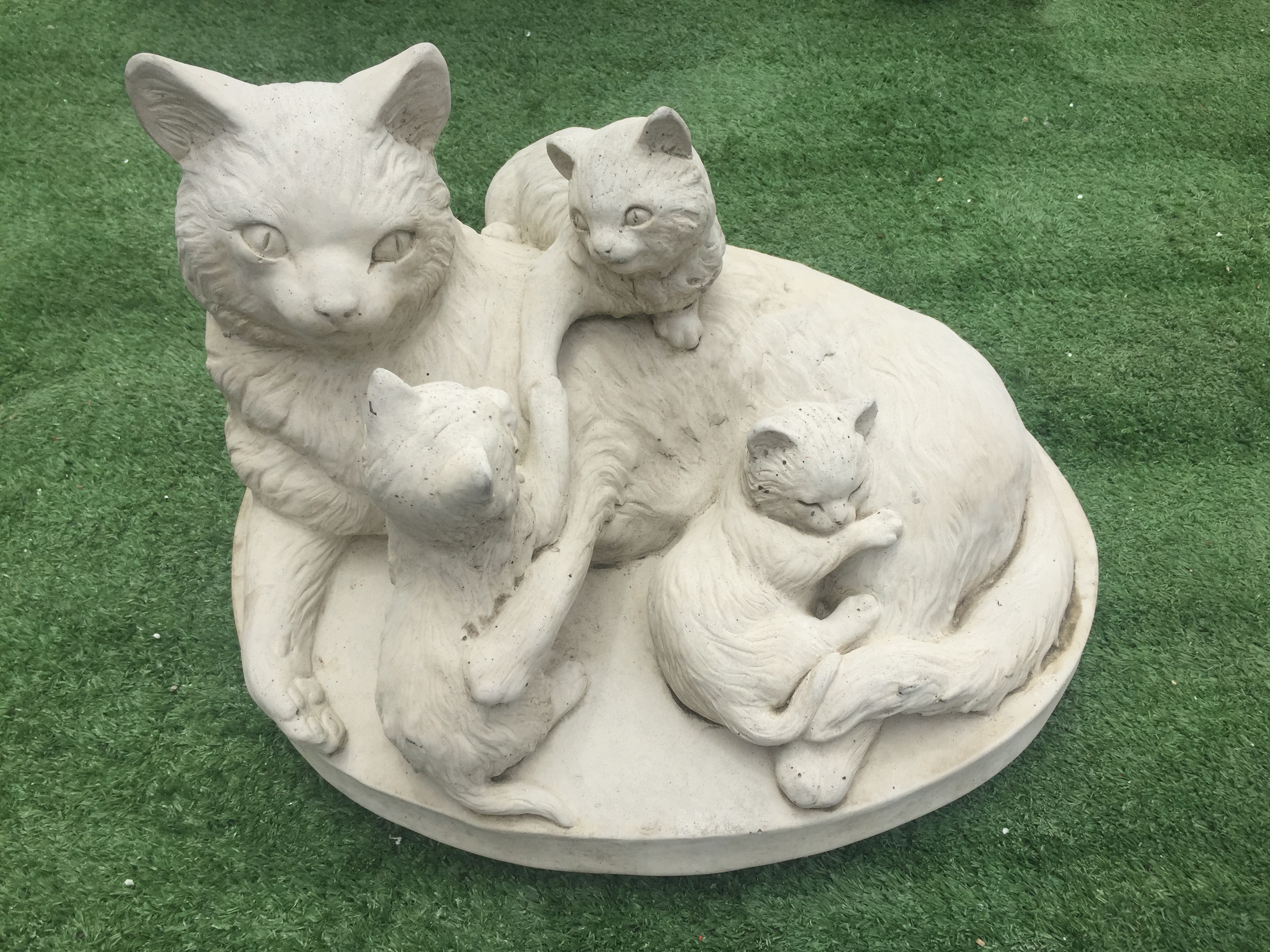 Cat Mother & Kittens