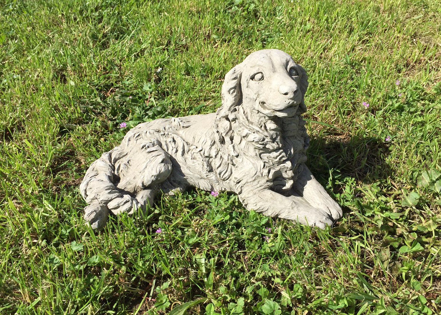 Dog Long Haired Retriever